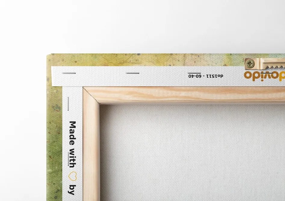 Quadro su tela – Disegno acquerellato di piante di montagna