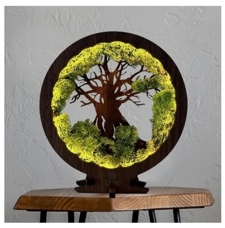 Li-Go 23631/DUB2 - Lampada da tavolo decorativa a LED dimmerabile, 12W/230V, 30×31 cm, finitura rovere