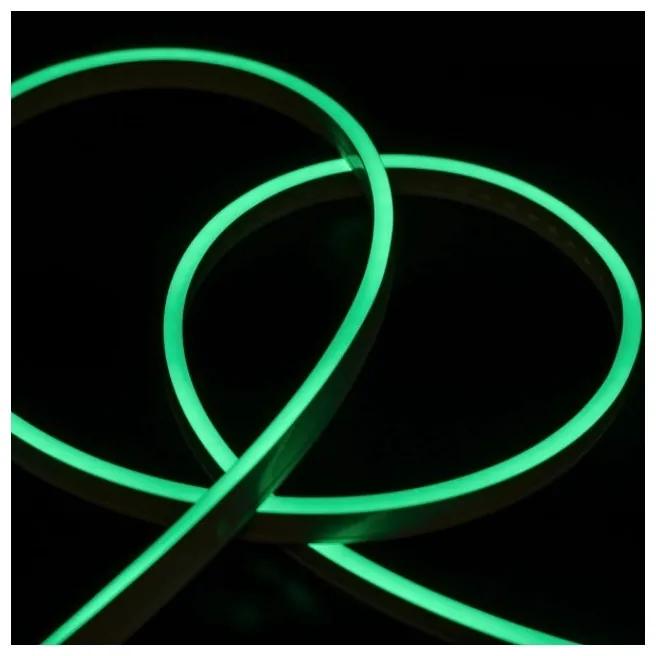 24V Bobina Led Neon Flex Colore Verde 10 Metri IP65 10W/M Tagliabile Dove Vuole