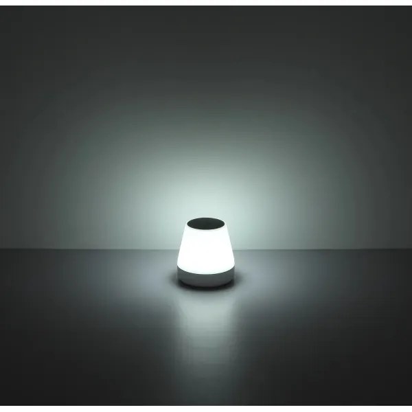 Globo 39906-18 - Lampada solare LED RGB LED/0,2W/3,7V IP44