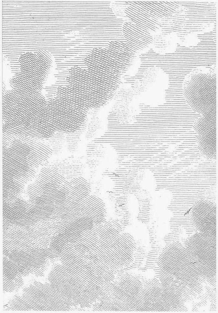 Carta da parati in tessuto non tessuto Engraved Clouds