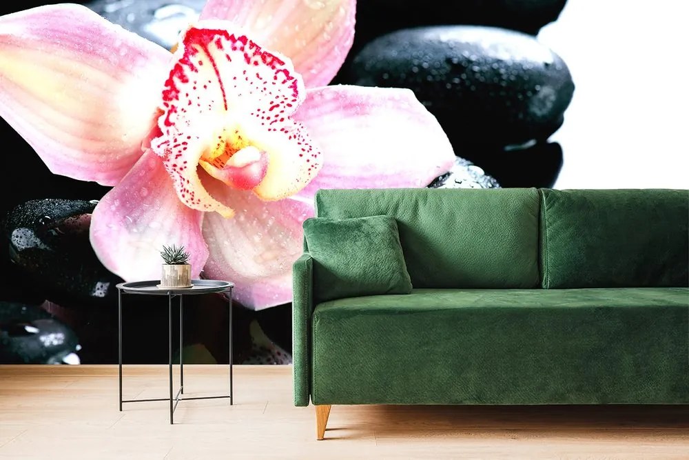 Carta da parati – Orchidea esotica