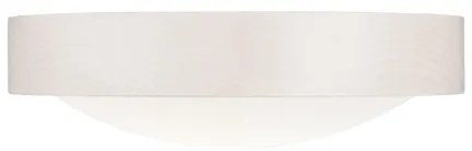 Lampada da soffitto 1xE27/60W/230V