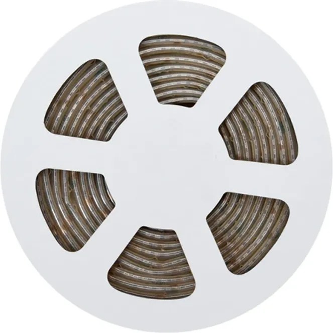 Striscia LED 24V 20W/m Alta Efficienza Professionale - IP67 - 5 metri