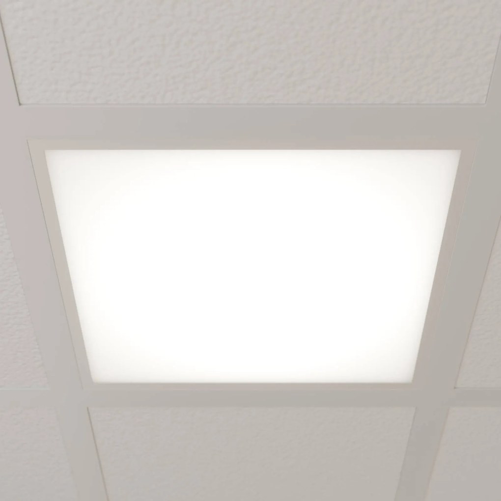 Pannello Arcchio LED Vinas, 4.000 K, 36 W, 62 cm x Vinas, Bianco / Opale, Studio / Ufficio, Plastica, Moderno, Pannello LED