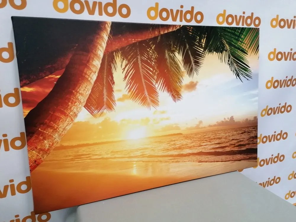Quadro su tela – Alba sulla spiaggia caraibica