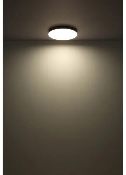 Globo 12384-24W - Plafoniera LED MATTHEW LED/24W/230V bianco