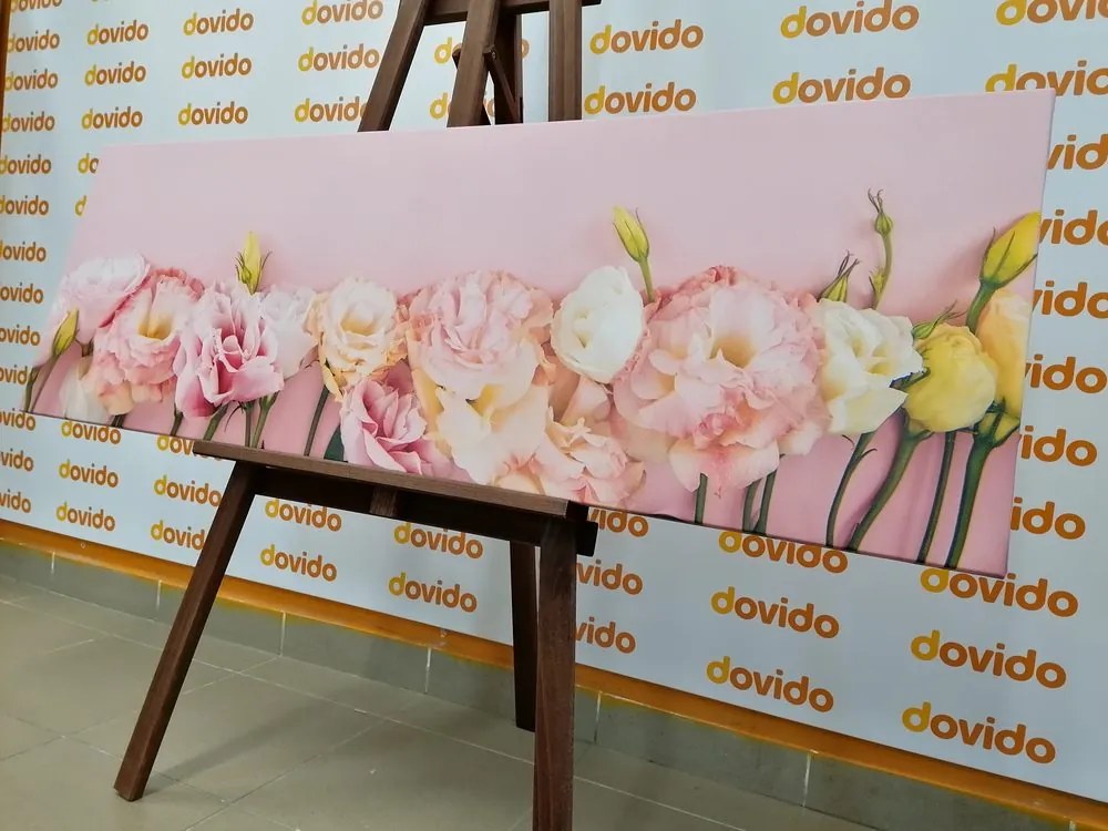 Stampa su tela – Fiori fioriti pastello