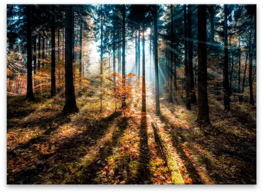 Immagine su tela, 70 x 100 cm Glasspik Autumn Sunset - Styler