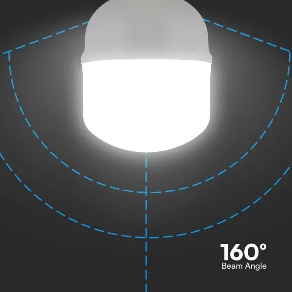 Lampadina LED T160 E27/60W/230V 6500K