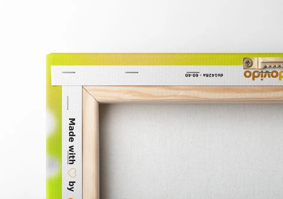 Quadro su tela – Fiori estivi