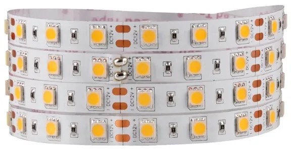 Striscia LED 5m 45W/12V IP20 3000K