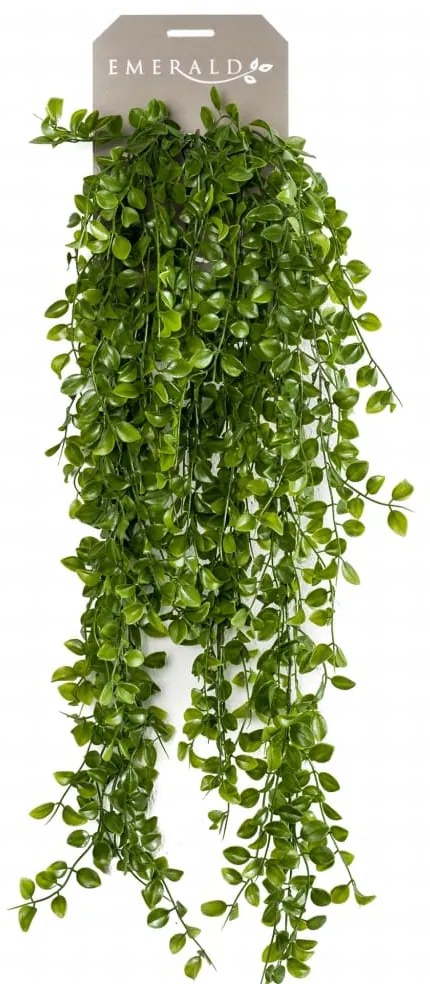 Ficus Pumila Artificiale 80 Cm /
