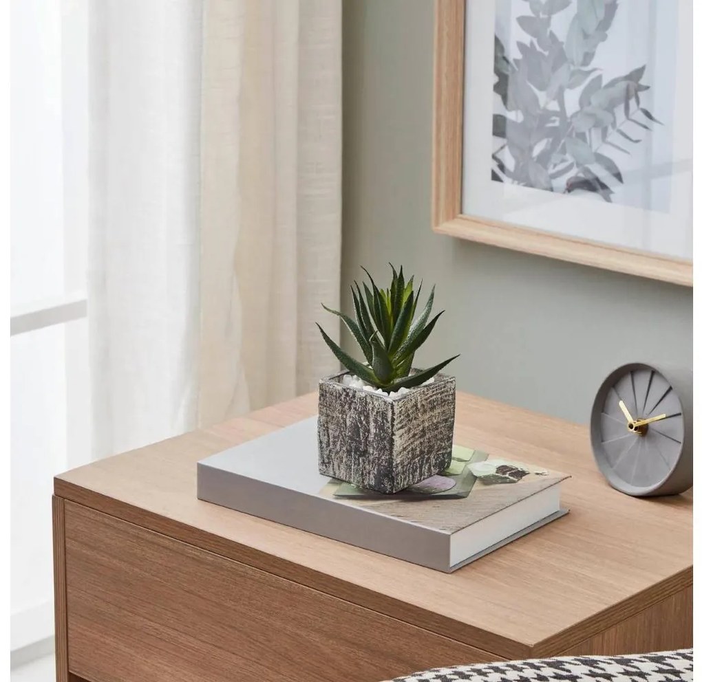 Eglo 428008 - Pianta artificiale CHITOSE 13x9,5 cm in vaso, succulenta