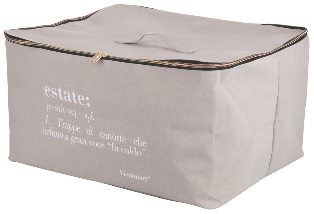 Scatola armadio grigia 50x40x27 cm Victionary