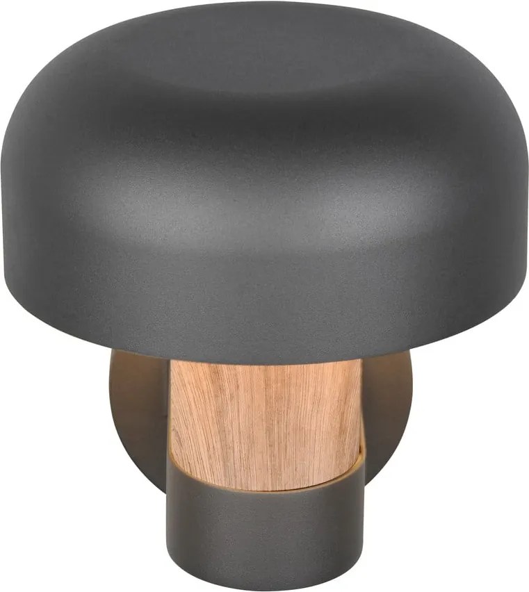 Illuminazione esterna con sensore di movimento da parete (altezza totale 24,5 cm) Fraser – Trio