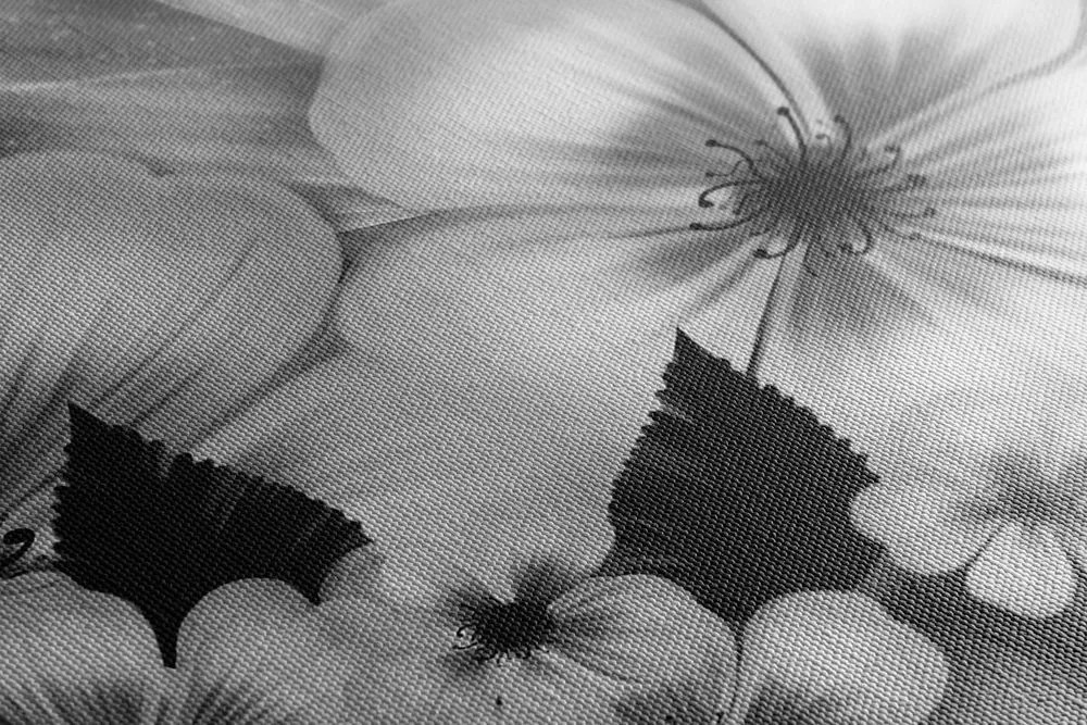 Stampa su tela – Fantasia di fiori in bianco e nero