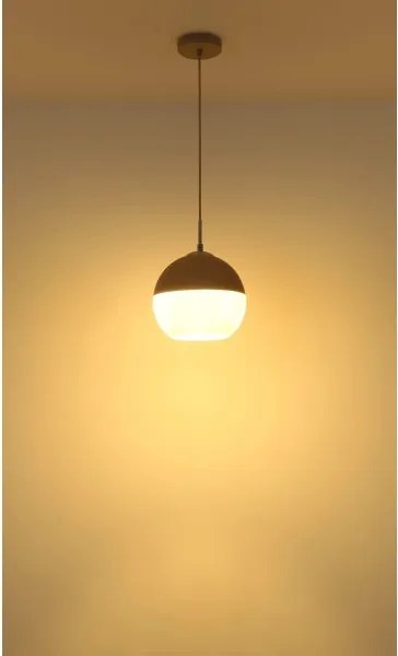 Globo 15999H1 - Lampadario sospeso con cavo RAGUSA 1xE27/60W/230V Ø 25 cm