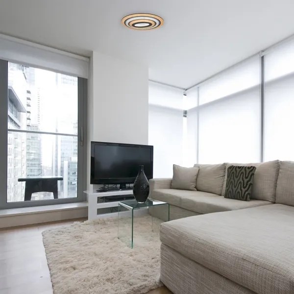 Rabalux 3097 - Plafoniera LED dimmerabile TANELI LED/41W/230V + telecomando