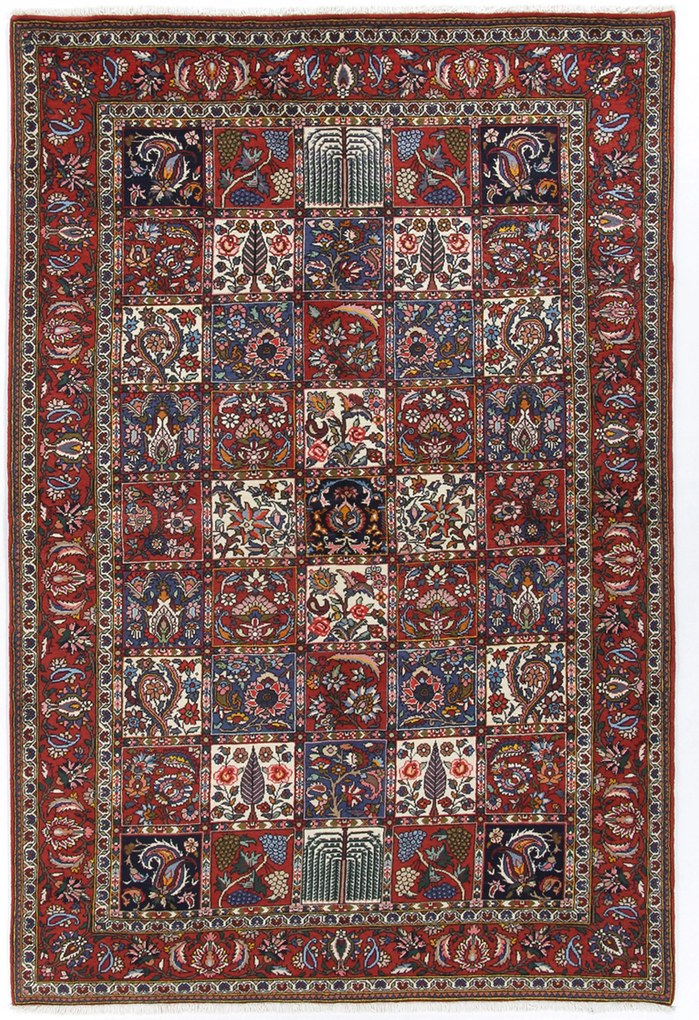 Bakhtiar Tappeto 240x160 (Iran) Annodato A Mano