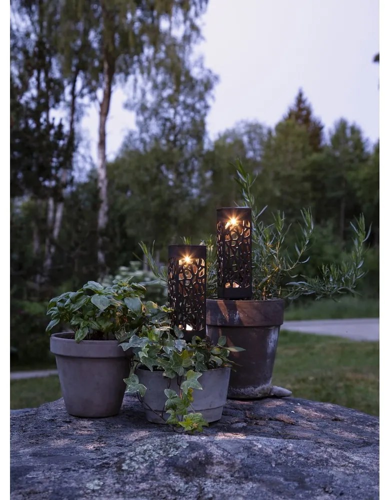 Set di 2 luci LED solari da esterno, altezza 18 cm Izola - Star Trading