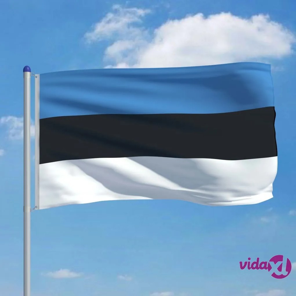 vidaXL Bandiera dell'Estonia con Pennone in Alluminio 6 m