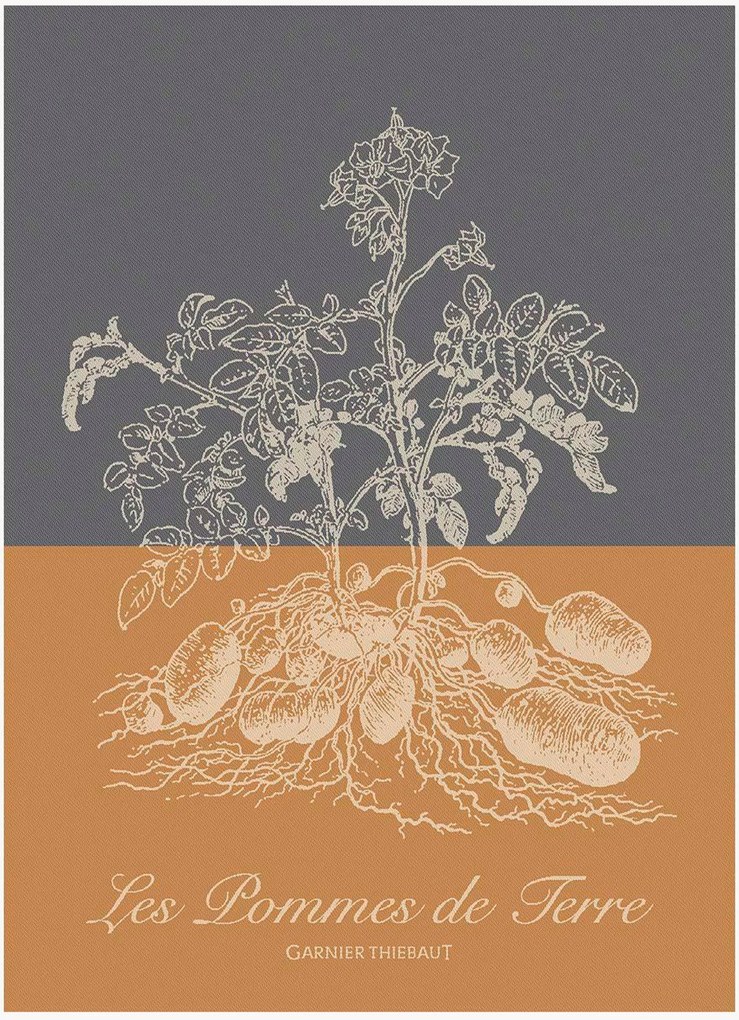 Set di 4 strofinacci jacquard Pommes De Terre Ocre