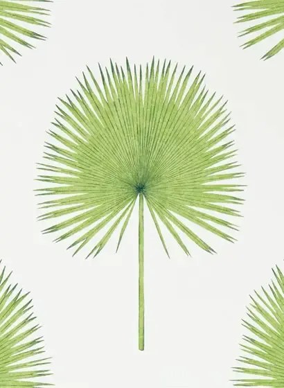 Palmen Tapete Fan Palm von Sanderson - Botanical Green