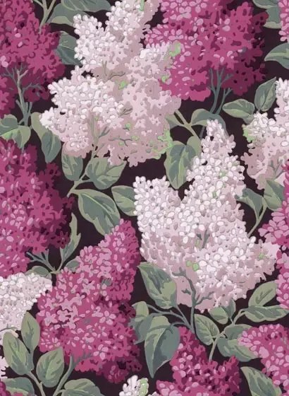 Cole & Son Carta da parati Lilac Grandiflora - Magenta & Blush