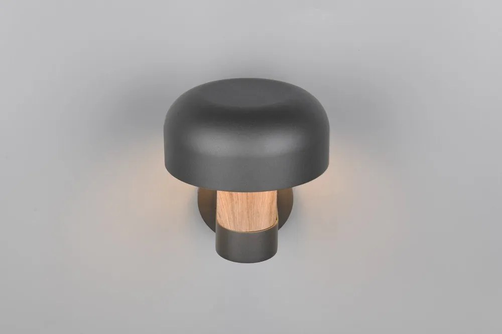 Illuminazione esterna con sensore di movimento da parete (altezza totale 24,5 cm) Fraser – Trio