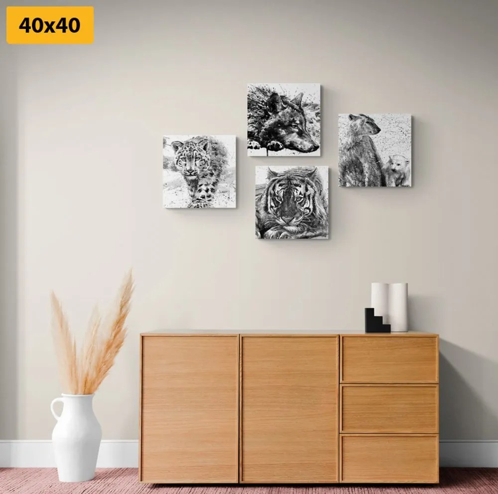 Set di quadri – Animali in versione acquerello in bianco e nero