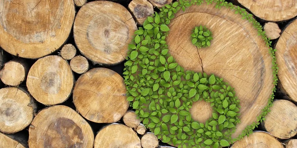 Stampa su tela – Yin e Yang in eco design