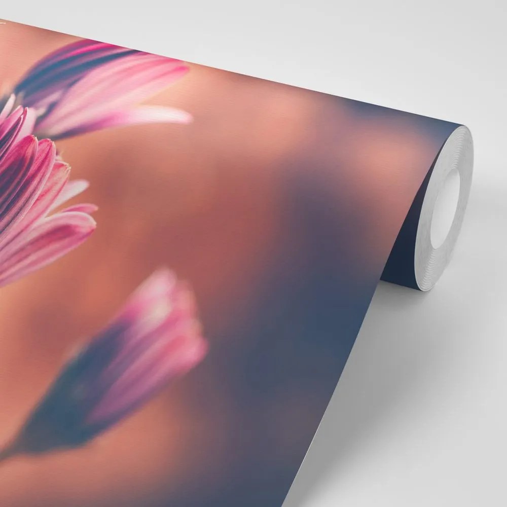 Carta da parati autoadesiva – Delicati fiori rosa