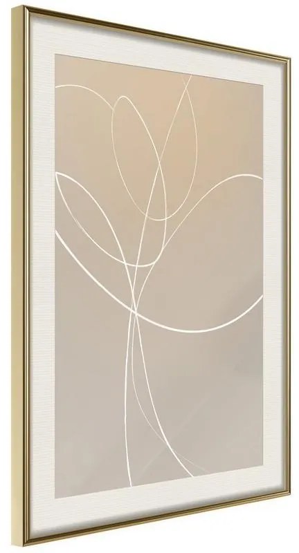 Poster  White Tulip  Cornice Quadri Cornice d'oro con passe-partout, Larghezza x Altezza Home decor 20x30