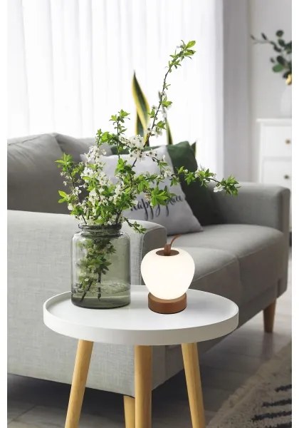 Globo 21011 - Lampada da tavolo LED dimmerabile EVALINA LED/2W/3,7V