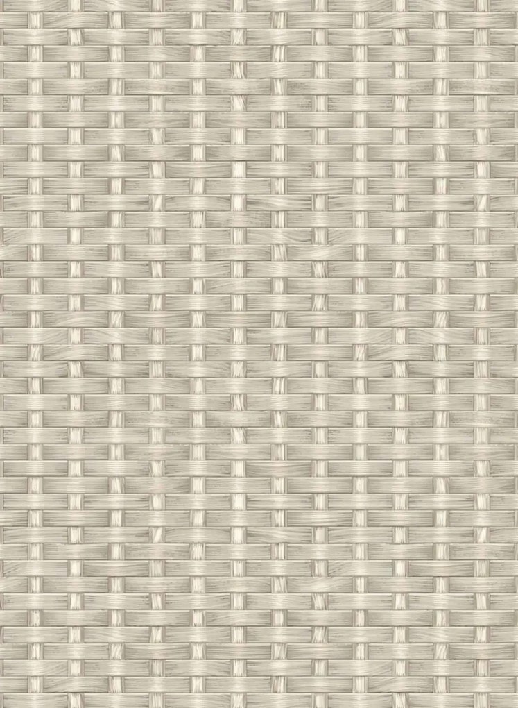Coordonne Carta da parati Kuba Raffia - Cotton