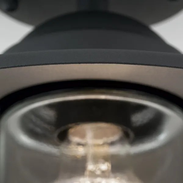 Orion AL 11-1317 - Lampadario da esterno EDWARD 1xE27/60W/230V IP44 nero