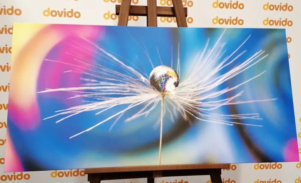 Quadro su tela – Goccia di rugiada su sfondo astratto