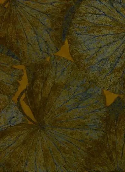 Seerosen Tapete Taisho Deco von Zoffany - Tigers Eye