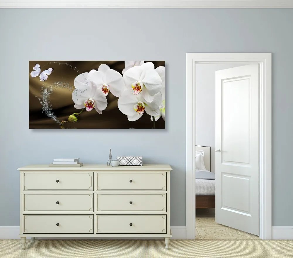 Quadro su tela – Orchidea e farfalla
