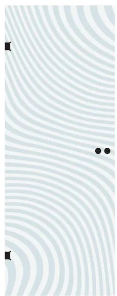 Anta in vetro a battente ZebraL 80X H 210 cm, trasparente