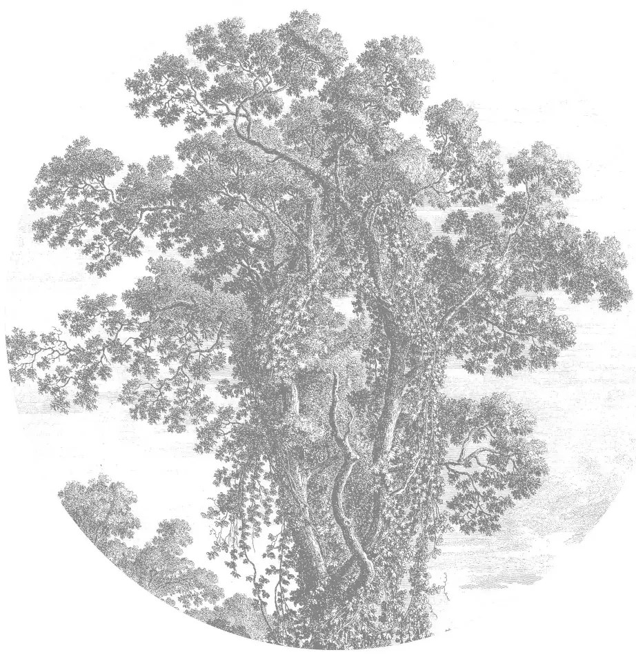 KEK Amsterdam Carta da parati panoramica Engraved Tree Circle - BW - Durchmesser 1,425m