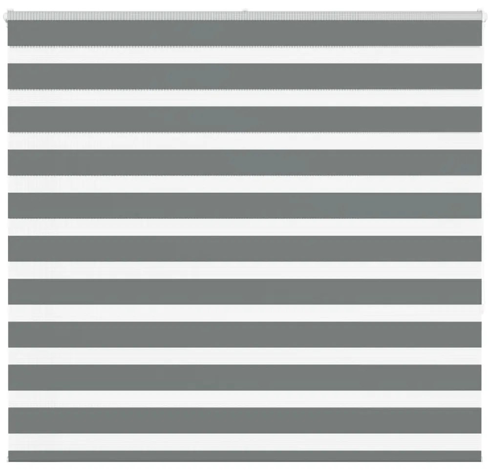 Tenda A Rullo Zebra Larghezza Tessuto 155,9 Cm Poliestere /