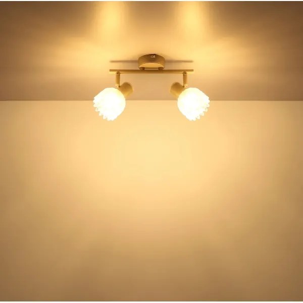 Globo 54317-2 - Faretto PLANTA 2xE14/40W/230V