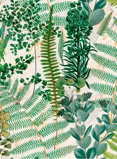 Mindthegap Carta da parati Green Sanctuary - Lush Green