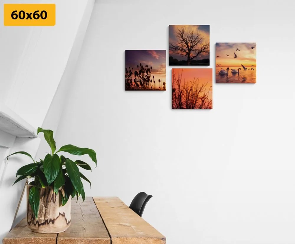 Set di quadri – Natura affascinante