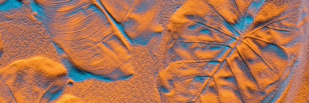 Quadro su tela – Texture interessante delle foglie