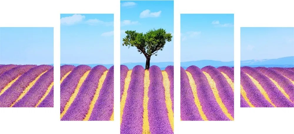 Quadri 5 pezzi – Campo di lavanda provenzale
