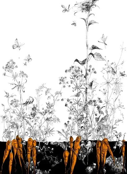 Edmond Petit Carta da parati Lièvres/Fenouil/Tournesol - Noir Orange - Tournesol Droit - Noir Orange Doré
