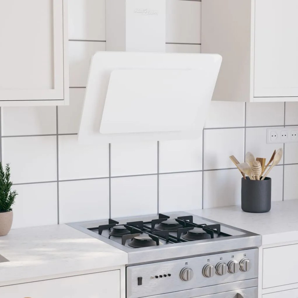 Cappa A Parete 60 Cm İn Acciaio Inox E Vetro Temperato Bianco /